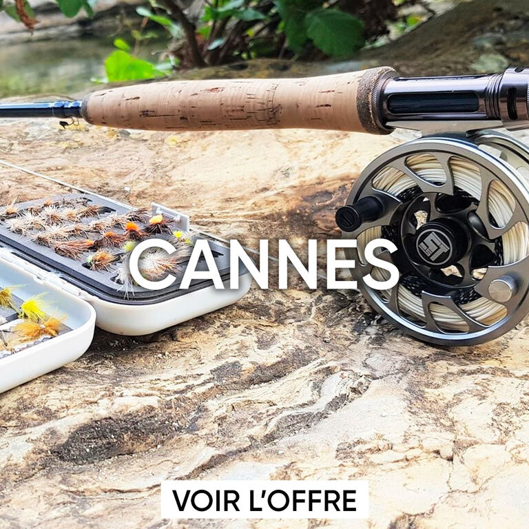 cannes mouche